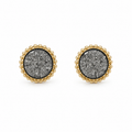 Ear studs